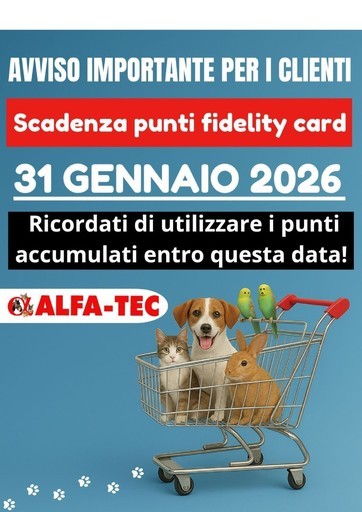 Grande offerta per cacciatori di affari