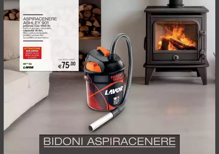 Bidoni aspiracenere