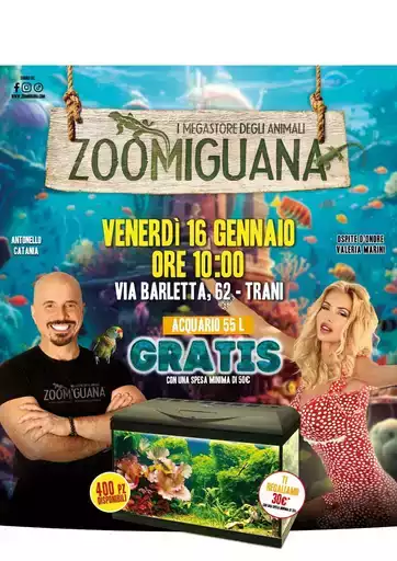 Offerte Zoomiguana