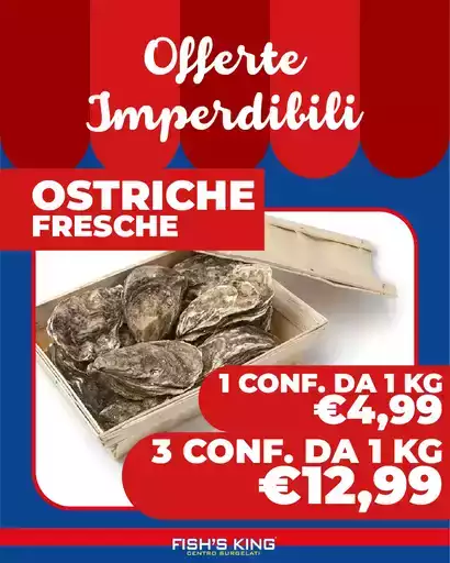 Ostriche fresche Ostriche fresche