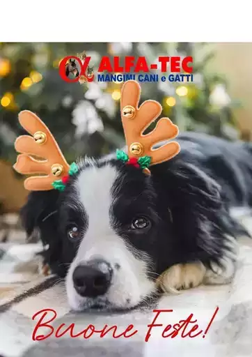 Scopri offerte attraenti