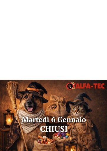 Affari e offerte attuali