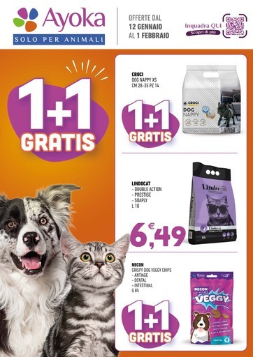1+1 GRATIS