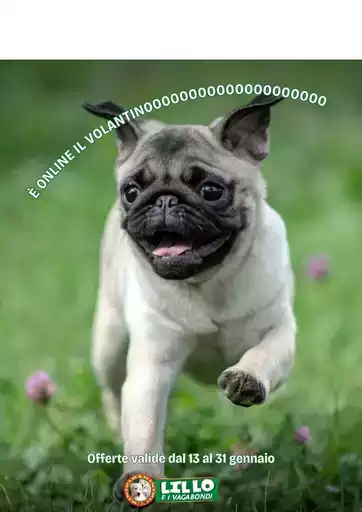 Offerte Lillo e i vagabondi