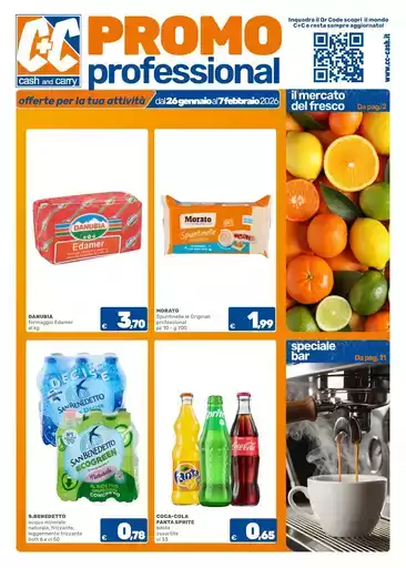 Promo professional Promo professional