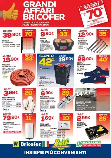 Grandi affari bricofer