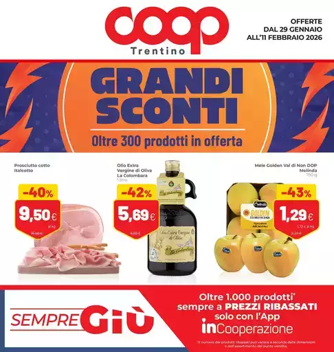 Grandi sconti