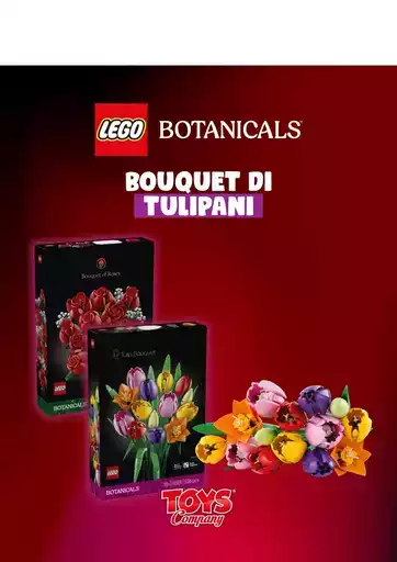 Toys company Toys company