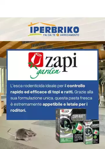 Le migliori offerte per tutti i cacciatori di affari