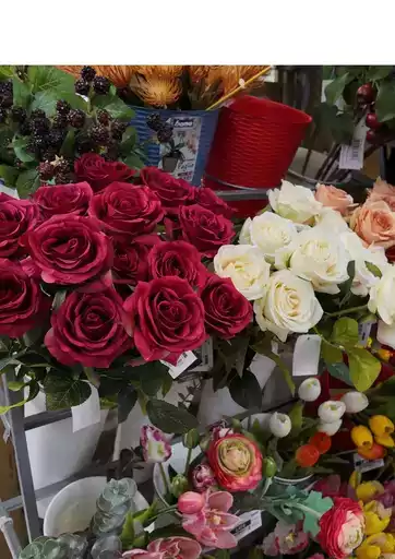 Le migliori offerte e sconti Le migliori offerte e sconti