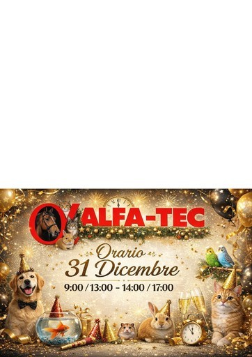 Offerte e promozioni attuali