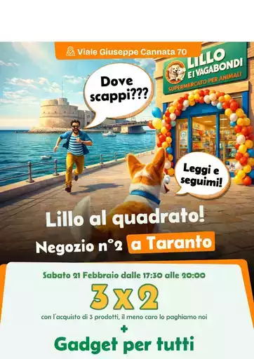 Offerte Lillo e i vagabondi