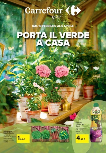 Porta il verde a casa