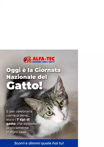 Offerte Alfa Tec