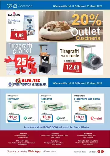 Offerte e promozioni attuali