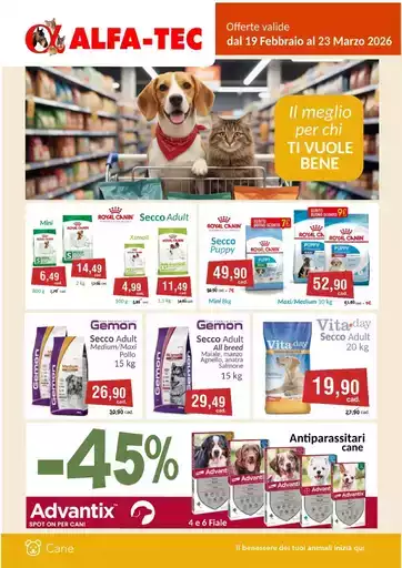 Scopri offerte attraenti