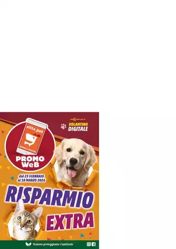 Le nostre migliori offerte per te