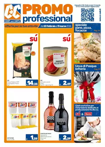 PROMO PROFESSIONAL PROMO PROFESSIONAL