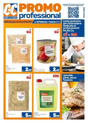 PromoProfessional PromoProfessional