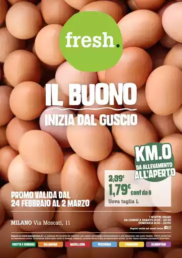 Il buono inizia dal guscio Il buono inizia dal guscio