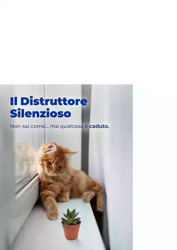 Le migliori offerte per tutti i cacciatori di affari