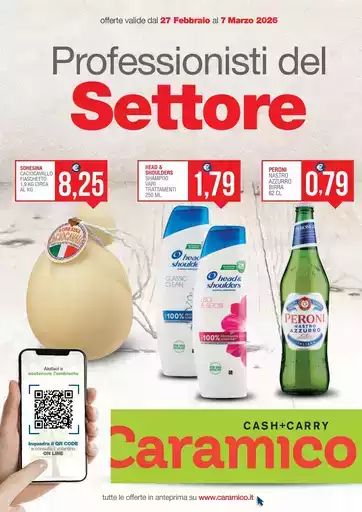 Professionisti del Settore