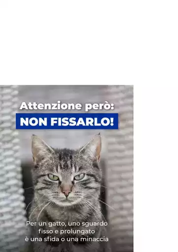 Affari e offerte attuali