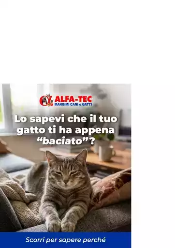 Offerte Alfa Tec