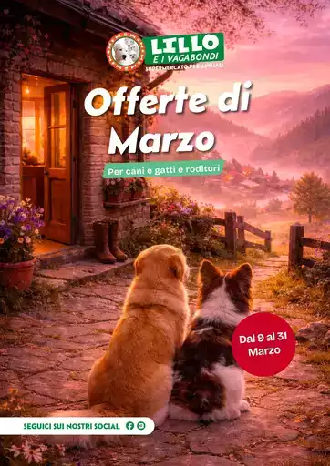 335226c2 27b9 45bd a78c 5b1742429030 VolantinoMarzo26 web