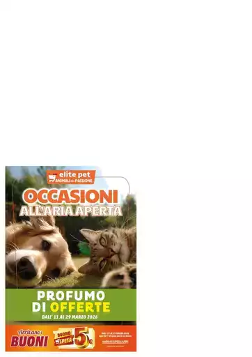 Le nostre migliori offerte per te