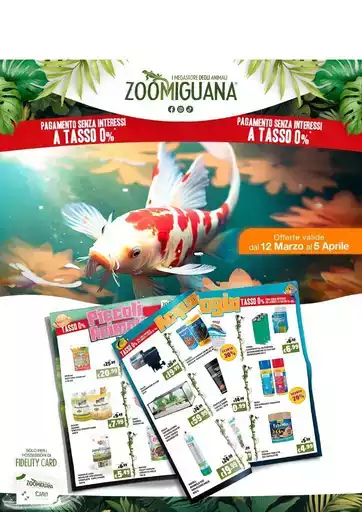 Offerte Zoomiguana Offerte Zoomiguana