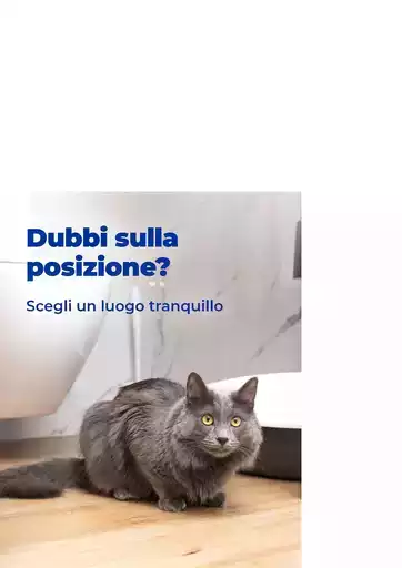 Offerte per cacciatori di affari