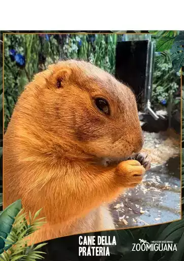 Grandi sconti su prodotti selezionati