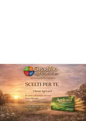 Scelti per te