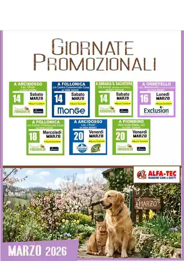 Affari e offerte attuali