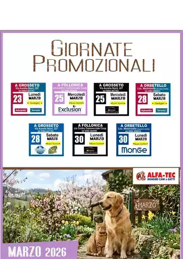 Le migliori offerte e sconti