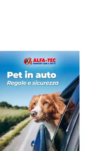 Le migliori offerte per tutti i clienti