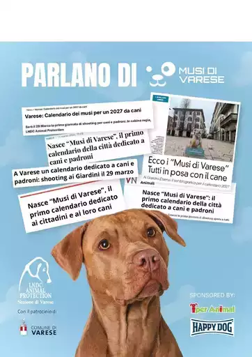 Offerte Iper Animal Offerte Iper Animal