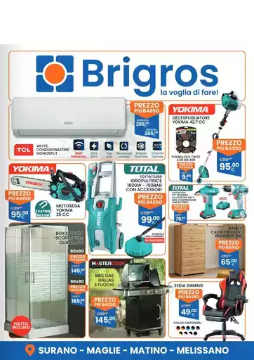 Offerte Brigros