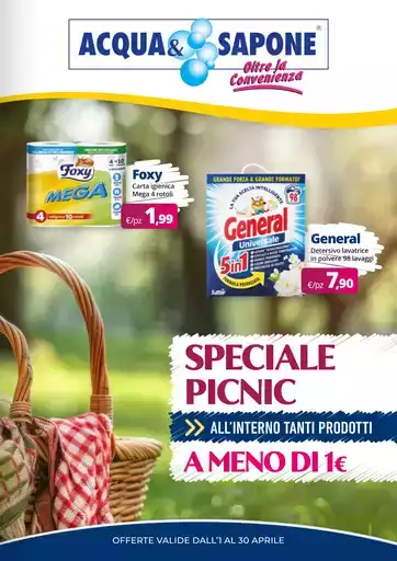 Speciale Picnic