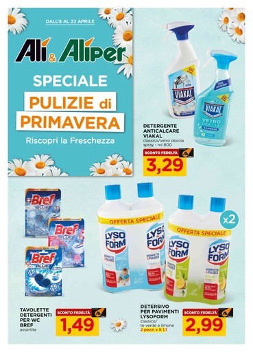 Speciale pulizie di primavera