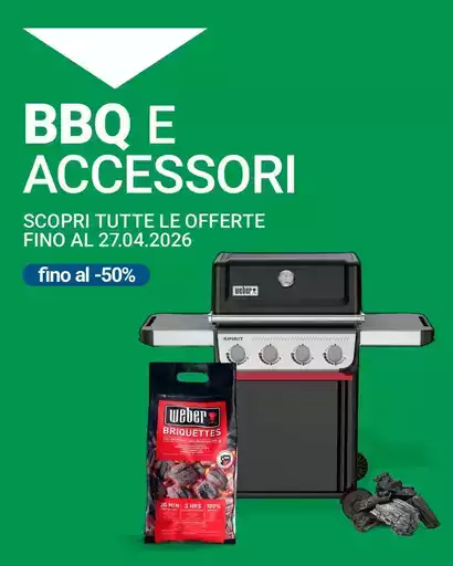 BBQ E ACCESSORI