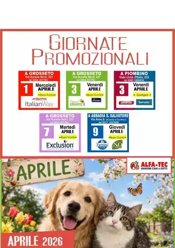 Le migliori offerte per tutti i clienti Le migliori offerte per tutti i clienti