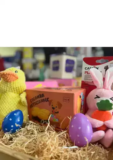 Scopri offerte attraenti Scopri offerte attraenti