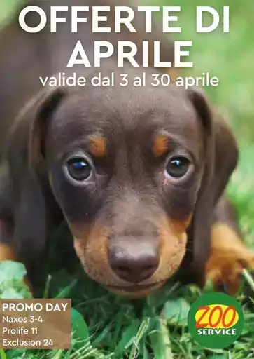 Volantino Zoo Service Volantino Zoo Service