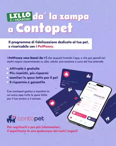 4ad5058b aa80 440b a94d 3b7ff0d6e6a5 ContoPET Automazione2 4ad5058b aa80 440b a94d 3b7ff0d6e6a5 ContoPET Automazione2