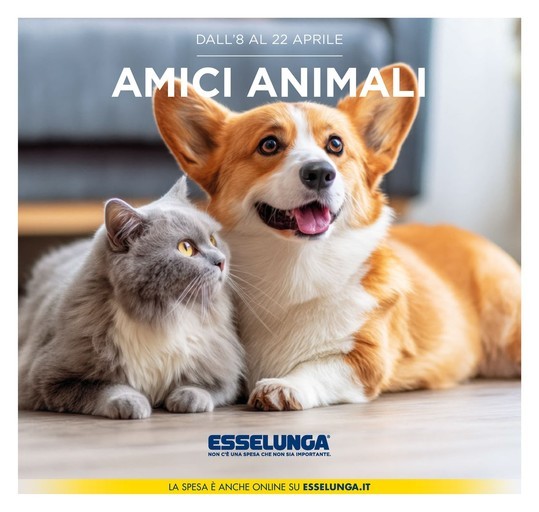 Amici animali