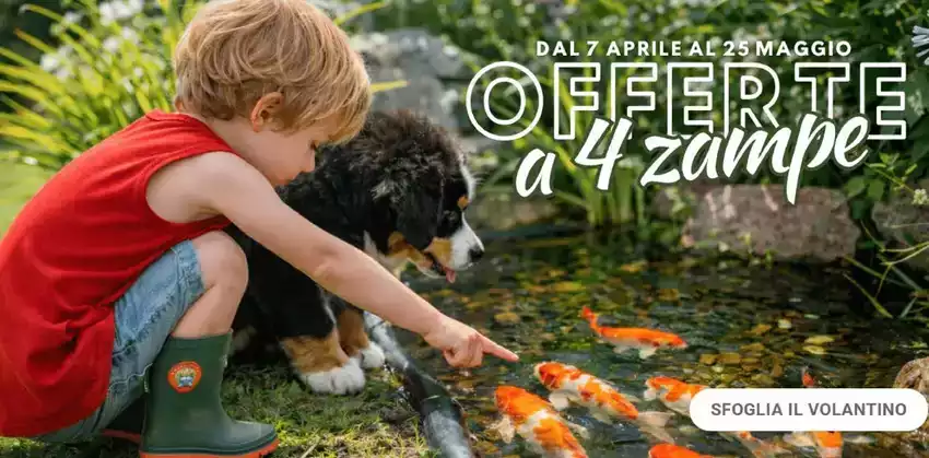 Offerte a 4 zampe