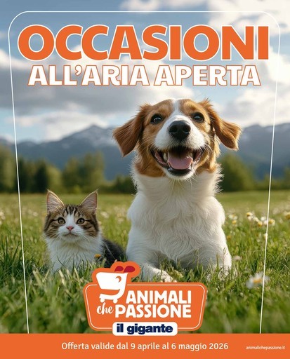 Occasioni all'aria aperta!