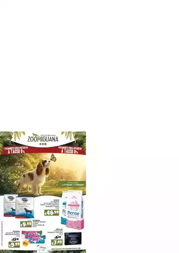 Volantino Zoomiguana Volantino Zoomiguana